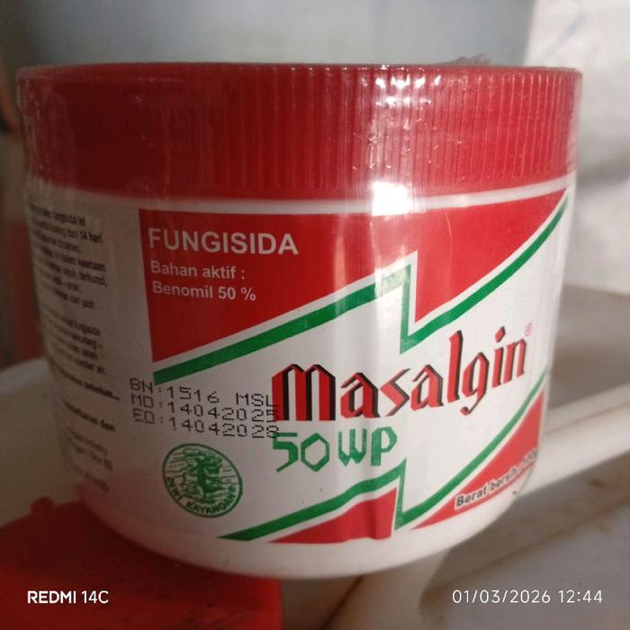 ` fungisida untuk tanaman cabai masalgin 200 gram
