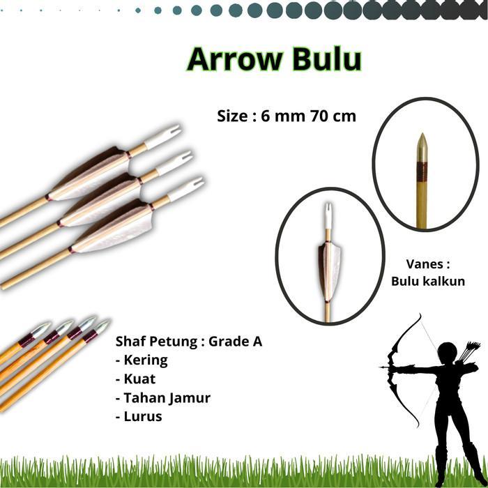 Arrow Anak Panah Vanes Bulu Kalkun Nock Plastik