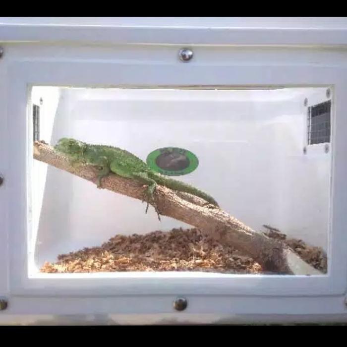 KANDANG REPTIL KADAL ULAR KECIL