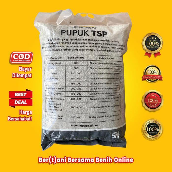 PUPUK TSP pupuk triple super phospate 5 KG - SUPER BONSAI