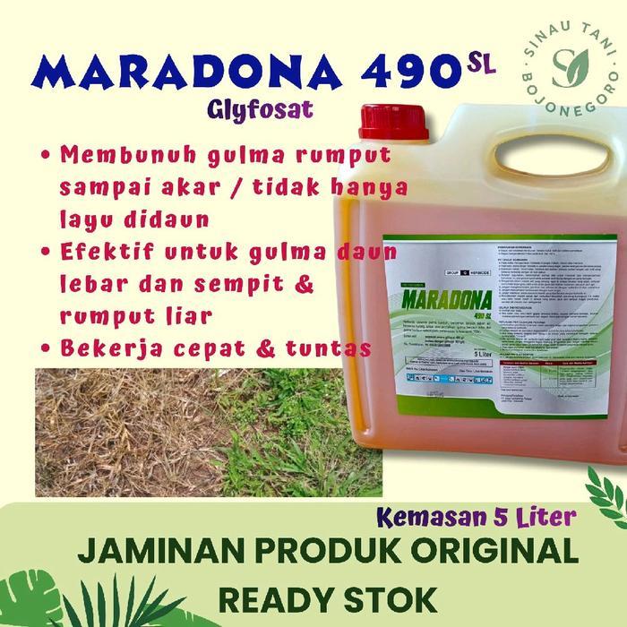 MARADONA 490 SL Glyfosat 5 Liter Herbisida Sistemik Paling Efektif dan Ampuh, Gulma Mati Total