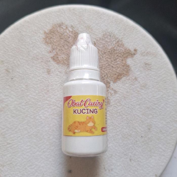 Obat Cacing Kucing Efektif Basmi Telur Hingga Cacing Dewasa