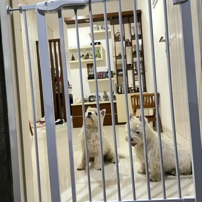 PAGAR PEMBATAS TINGGI 100cm / PAGAR ANJING / KANDANG PAGAR ANJING