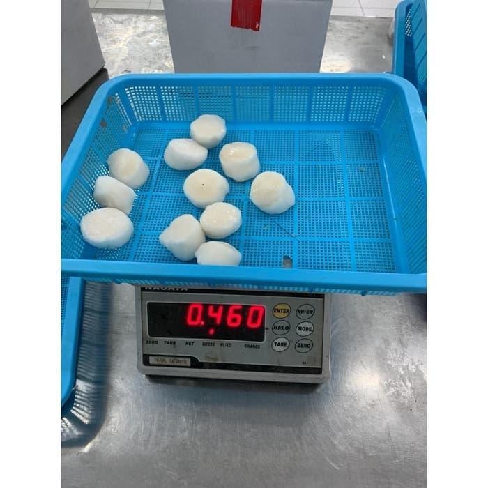 Promo Scallop Us Kemasan 500 Gram / Kerang Laut / Kerang Kampak Terlaris