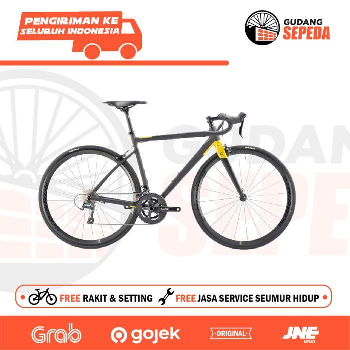 Sepeda Balap RoadBike Element Curved Camp Carbon Fork RD Shimano SNI
