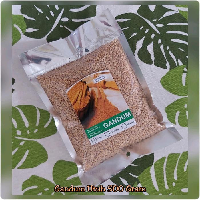 "New" Gandum Utuh 1 Kg