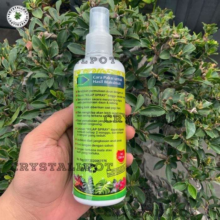 BISA COD KILAP LEAFSHINE SPRAY 250 ML SEMIR PENGKILAP TANAMAN DAUN SIAP PAKAI - KILAP SPRAY BESAR