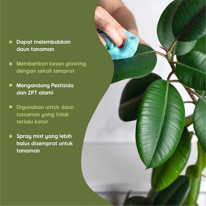 BISA COD PENGKILAP Daun Tanaman Tanpa Pengelapan Hydrating Leaf Mist and Shine