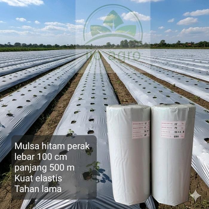 Plastik Mulsa Hitam Perak Lebar 1 Meter Panjang 500 Meter Gulungan Roll untuk Pertanian