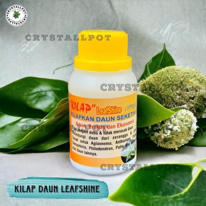 BISA COD KILAP LEAFSHINE SPRAY 100 ML SEMIR PENGKILAP TANAMAN DAUN