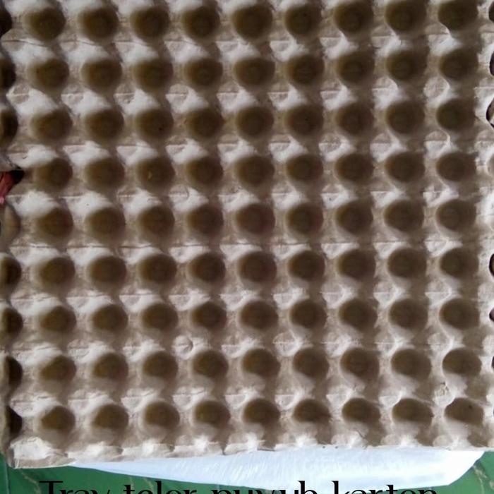 Tray Puyuh Karton/Tempat Telur Puyuh Karton Pasti Promo