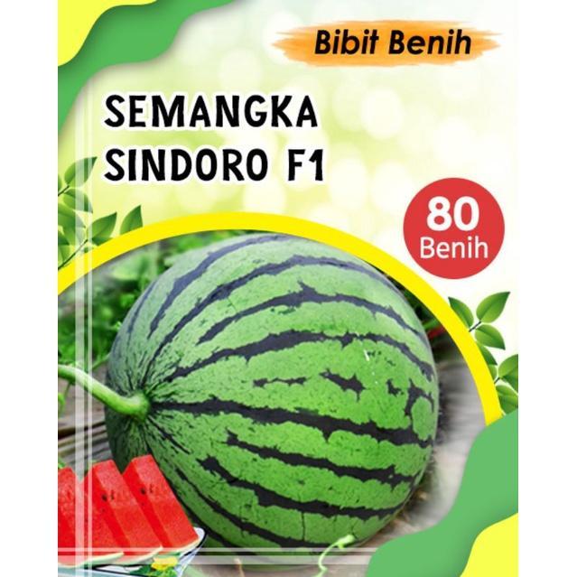80 Biji Benih semangka super / bibit semangka sindoro F1