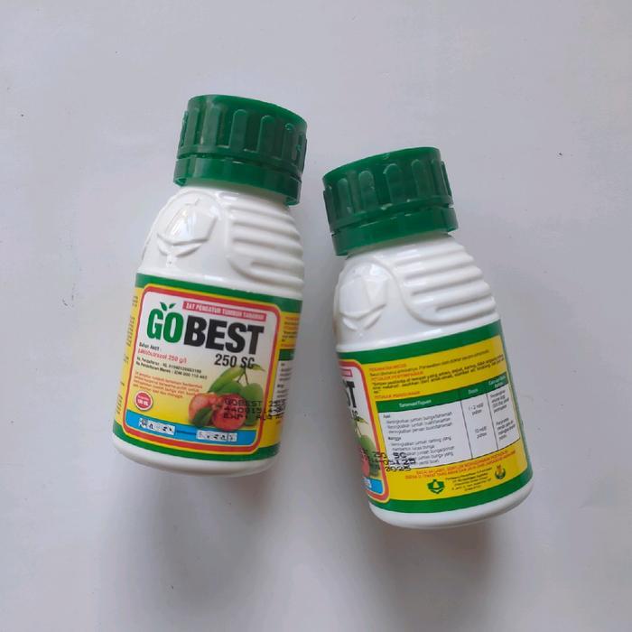 Josjismatt_ Zpt Gobest 250Sc 100Ml (Paclobutrazol 250 G/L) Buah Bunga