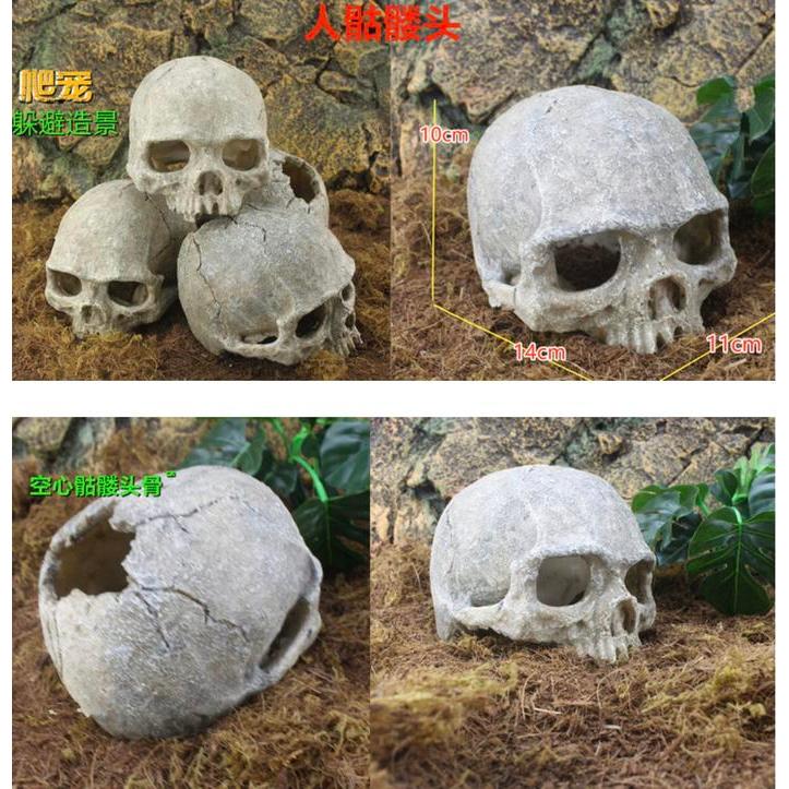 Hiasan Akuarium Fosil Tengkorak Manusia Tbk