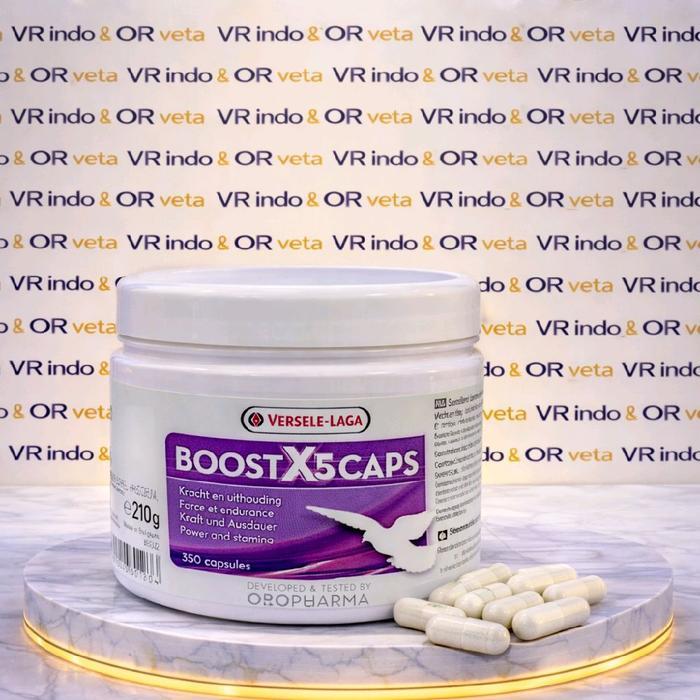 BOOST X5 CAPS VERSELE LAGA 100 KAPSUL STAMINA BURUNG MERPATI TENAGA LOMBA LATIHAN