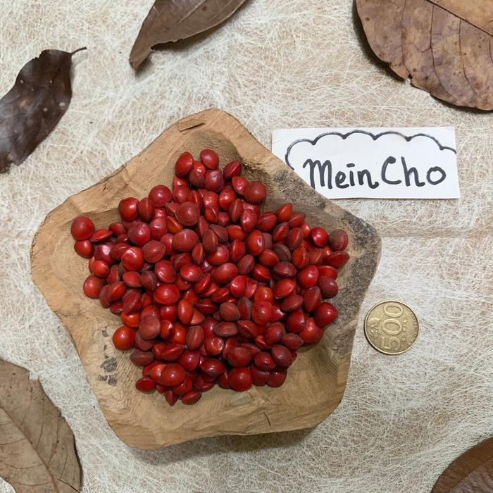 Kolase Biji Saga Merah Biji Saga Pohon Buah Saga (500gr/1700biji)