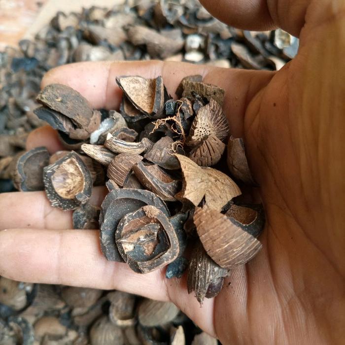 DISKON cangkang batok kelapa sawit 1 kilo gram