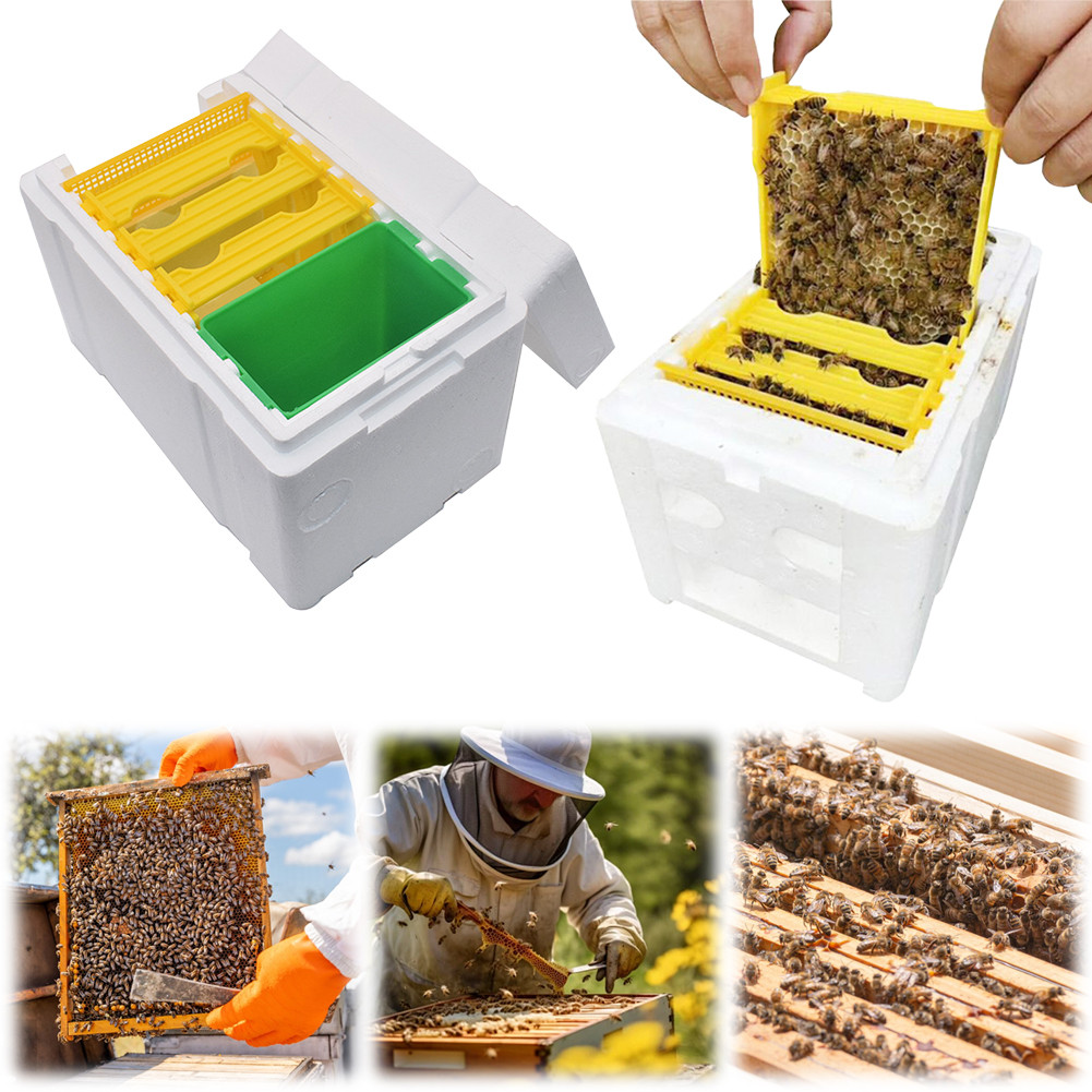Foam Bee Box Queen Bee Breeding Box Bee Pollination Box Queen Bee Rearing Beehive Beekeeper