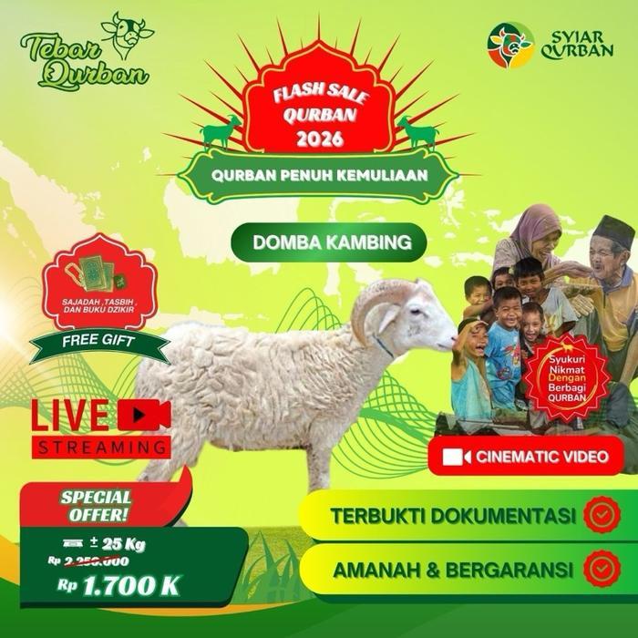Domba Kambing Qurban Premium Tebar Qurban Full Penyaluran Hewan Ke Pelosok