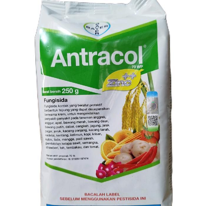 ` FUNGISIDA ANTRACOL PLUS ZINK KEMASAN 250GRM.BAHAN AKTIF PROPINEP 70% pengendali bercak daun di