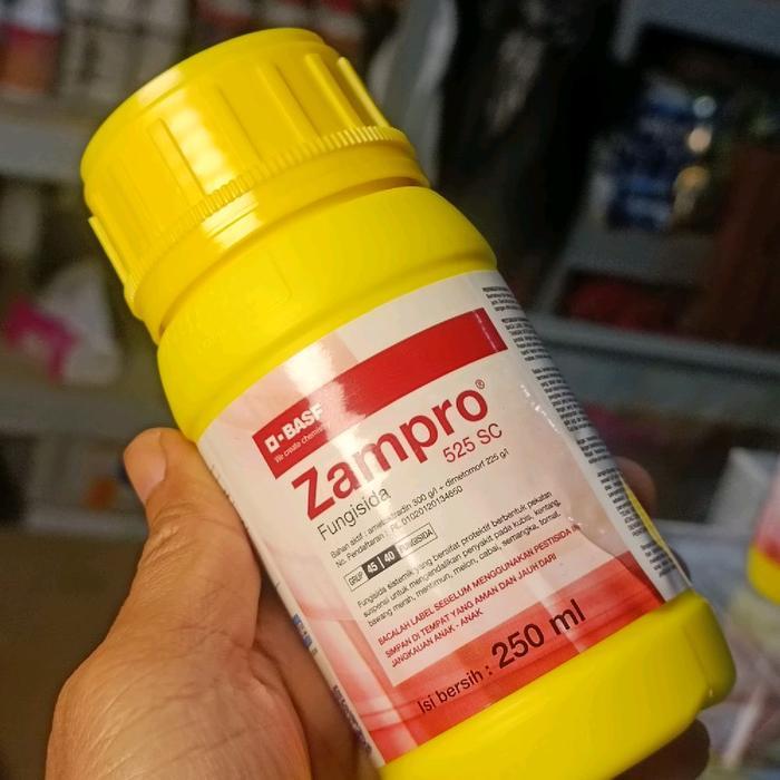 Fungisida zampro mengatasi busuk daun dan busuk batang tanaman