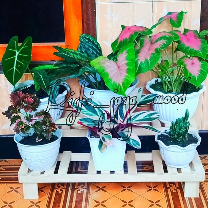 STANDING FLOWER STANDING POT RAK BUNGA SUSUN 2 RAK SERBAGUNA DEKORASI RUMAH DEKORASI TAMAN Kayu
