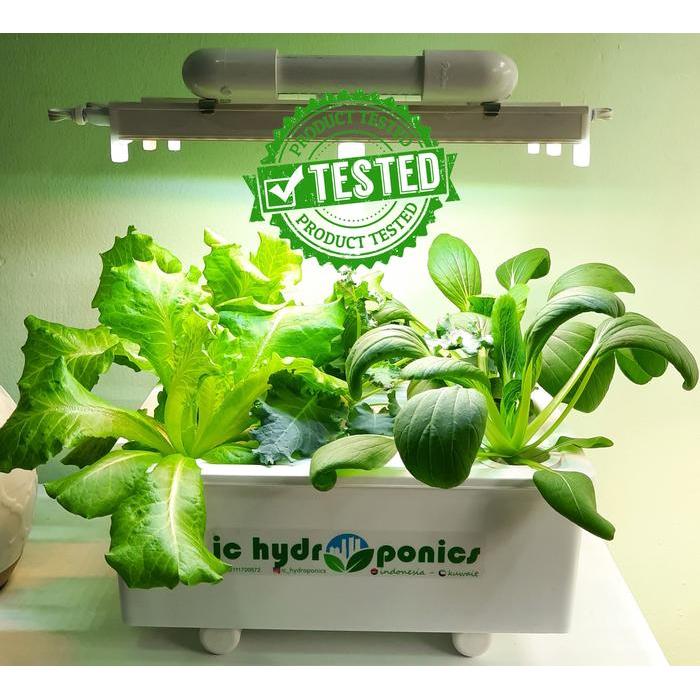 Hidroponik Indoor Set / Hydroponic Starterkit Growlight - Rawikara W5