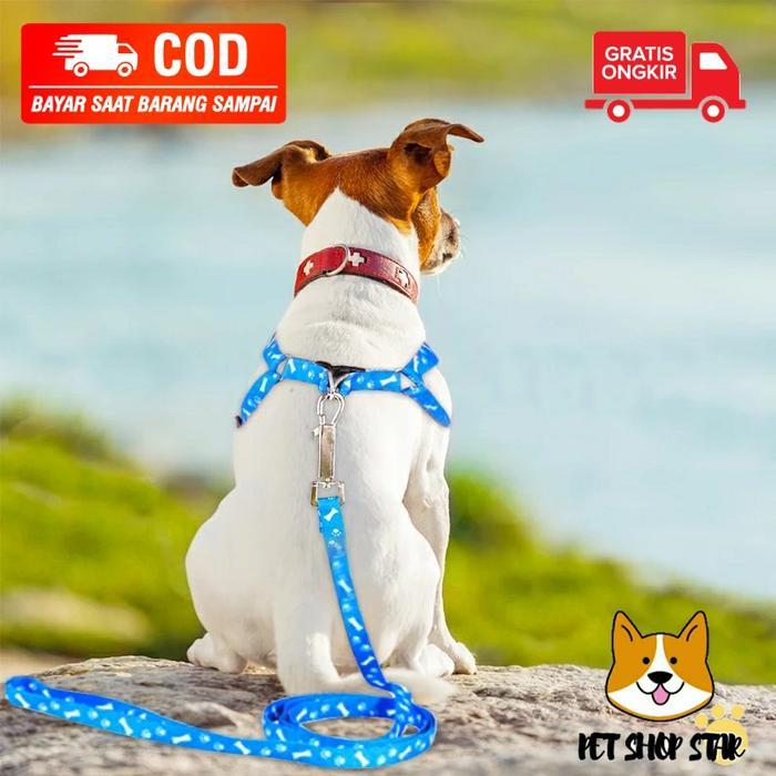 TALI TUNTUN ANJING KUCING KECIL MOTIF BONE LUCU IMPORT MURAH