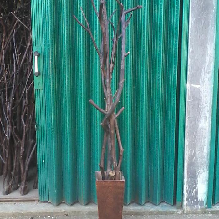 Batang Kayu Jambu Artificial Tinggi 180 cm Dekorasi Ruangan Lengkap Pot dan Batu
