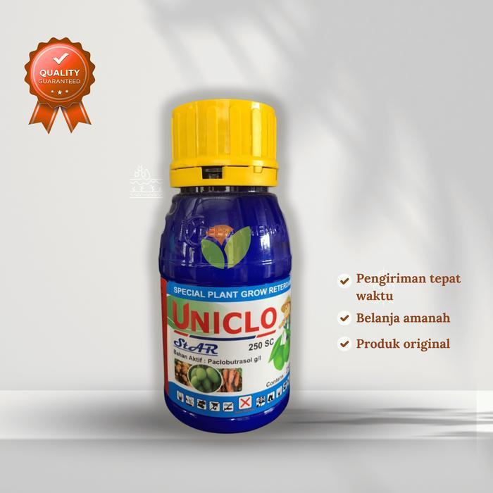 ` Fungisida UNICLO untuk zat pengatur tumbuh pada tanaman mangga/apel/nanas
