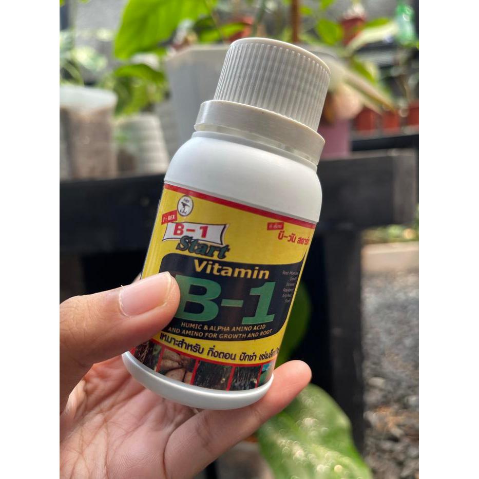 Nutrisi Tanaman Cair Kemasan Ulang 100 ml Perangsang Akar dan Tunas