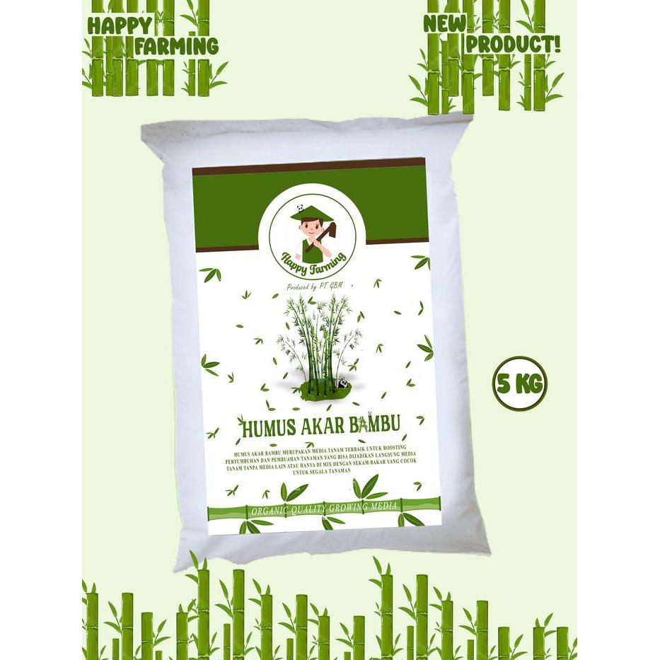 Humus Akar Bambu / Humus Bambu / Akar Bambu asli hutan . Daily Plantz