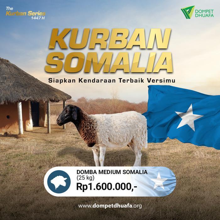 KURBAN DOMBA / KAMBING SOMALIA - DOMPET DHUAFA