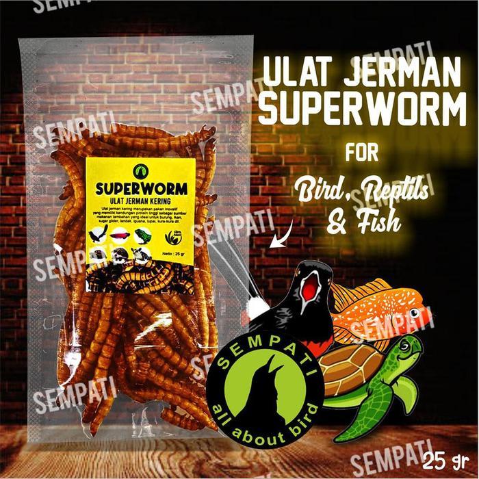 READYY SEMPATI Superworm Super Worm Ulat Jerman Kering Pakan Extra Fooding EF Burung Murai Kacer