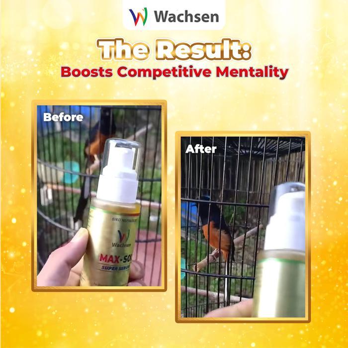 Max Sol Super Serum Vitamin Burung Sultan Booster Gacor Rahasia Performa Mewah Kicau Kristal Formula