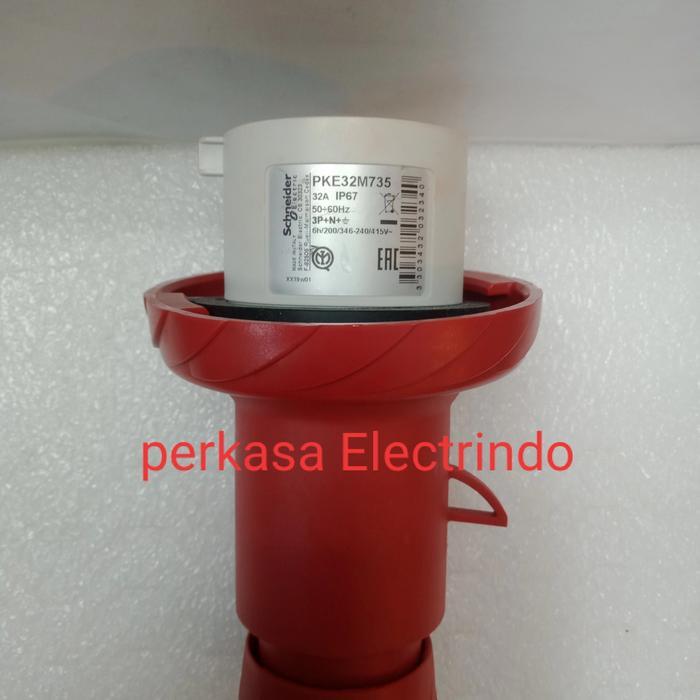 Schneider Electric Wander Plug 32A Ip67 - Pke32M735