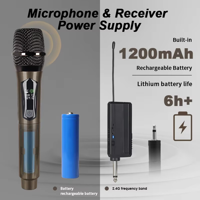 AY108P2 Wireless Microphone system Handheld Microphone For Party Karaoke Church Professional Stage