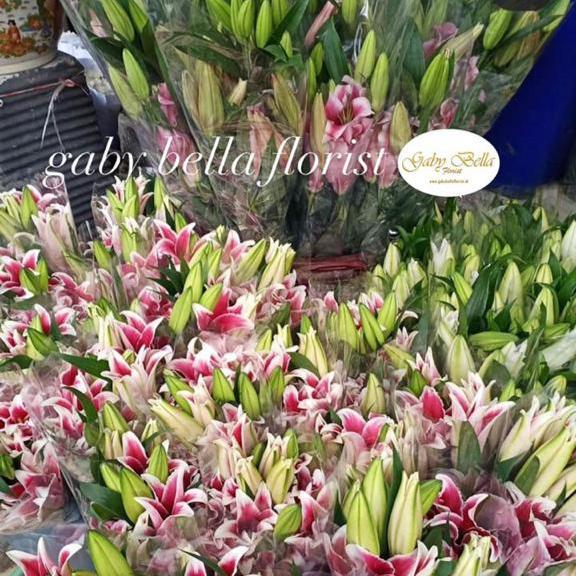 Casablanca lily fresh Bunga lili asli Lily fresh kuntum bunga lily pink bunga lily putih korean