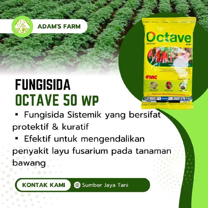` Fungisida Octave 50 WP Sistemik Protektif & Kuratif untuk Mengendalikan Penyakit Layu Fusarium