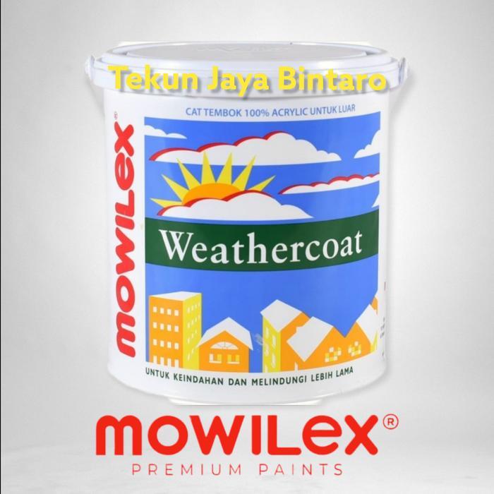 Mowilex Weathercoat Mega W0957 Pail Tinting