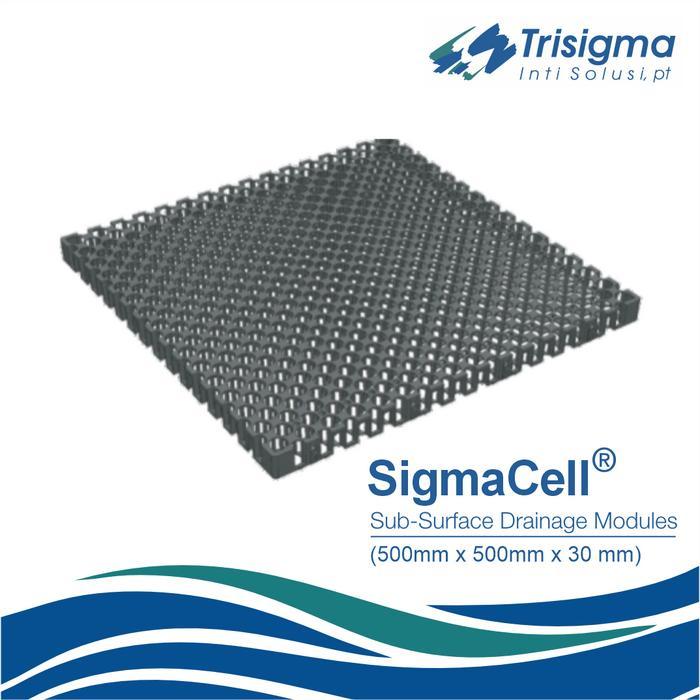 VersiCell dan SigmaCell 50x50x3cm Drainage Cell Drainase Roofgarden Rumput Sintetis