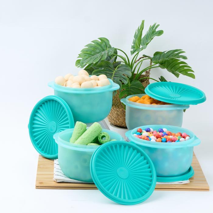 CPM DELICIA M SET OF 4 PCS /storage / wadah penyimpanan - Biru