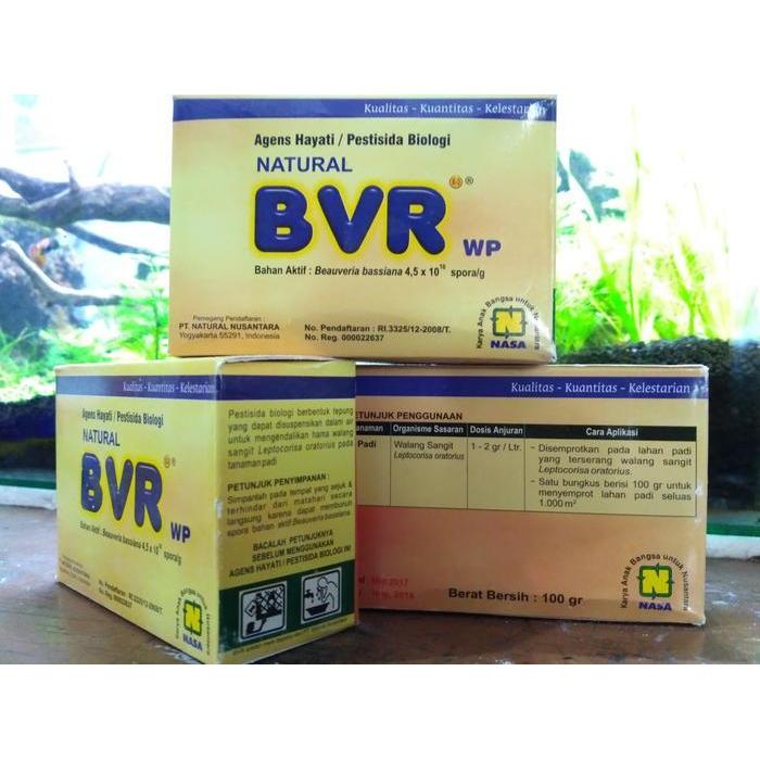 ` (Bvr) Beuveria Bassiana Pengendali Hayati Alami Pestisida Alami Tbk
