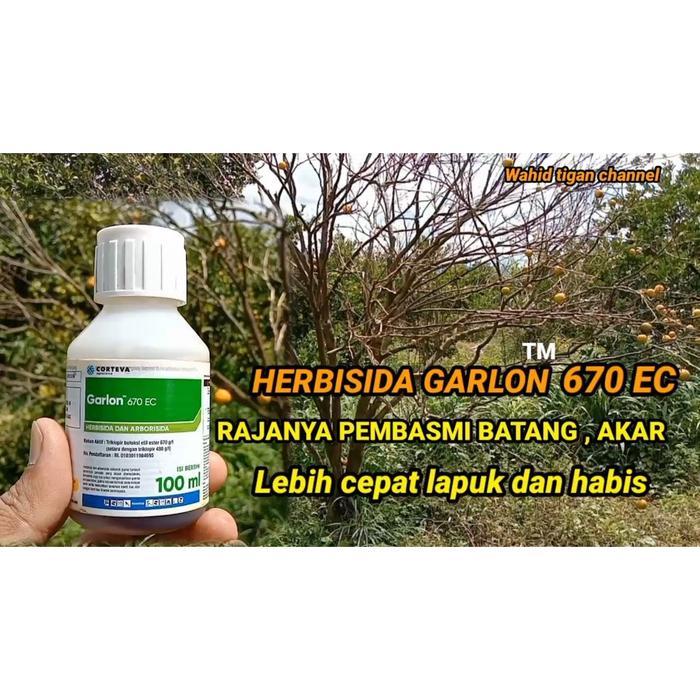 BISA COD Racun Pohon Kayu / Racun Bambu Garlon 670 Ec 100 Ml Herbisida Untuk