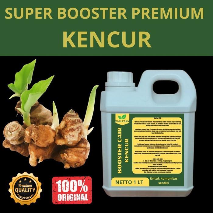 Pupuk KENCUR 1 LT Supaya Cepat Berbuah Pupuk KENCUR Supaya Subur Pupuk Cepat Besar