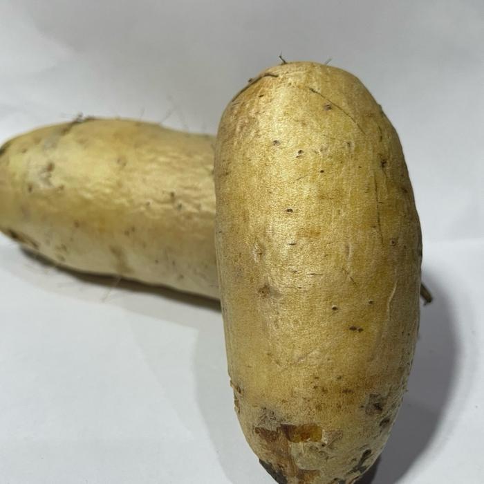 Gembili Ketan Pulen Fresh (Promo)