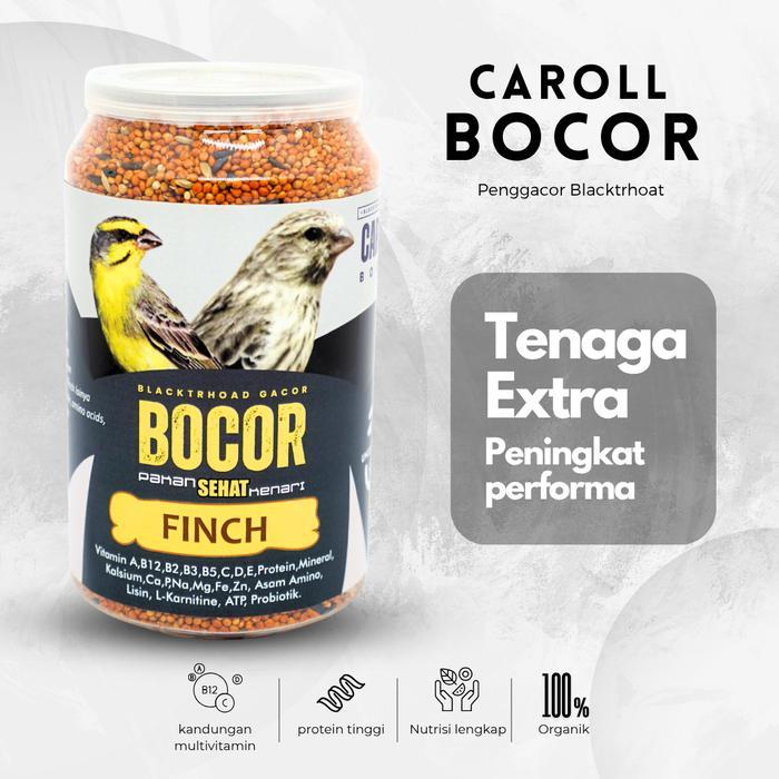 Unclejarwoe Bocor Caroll Blacktrhoat Sanger Macet Langsung Gacor