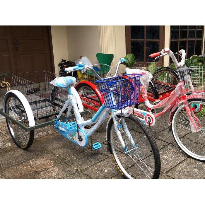 Sepeda Roda Tiga Dewasa Cargo Keranjang - Adult Tricycle
