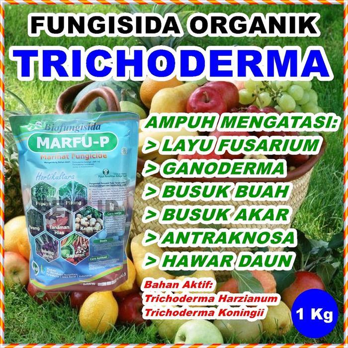 Tricoderma 1 kg Fungisida Organik Trichoderma Pembasmi Jamur Marfu P