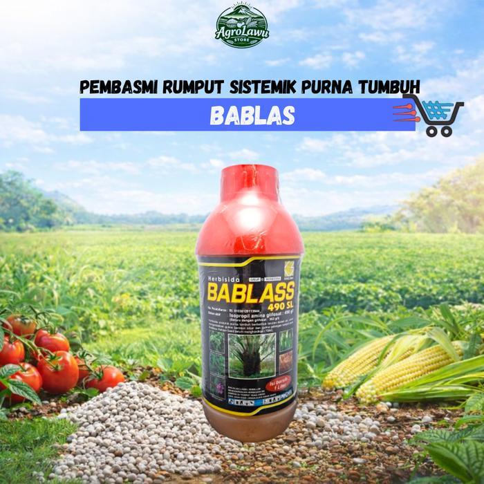 Herbisida Bablas 490 SL - Pembasmi Rumput Sistemik Purna Tumbuh
